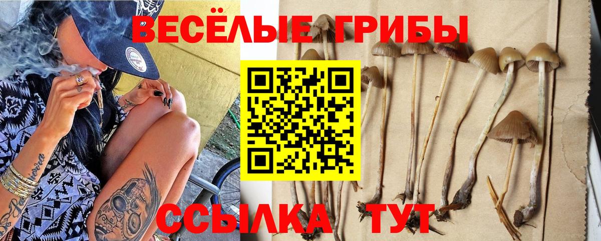 Галлюциногенные грибы мицелий Новочеркасск