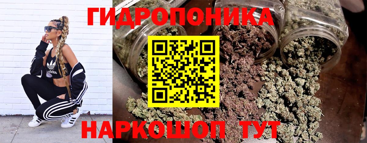 Конопля ГИДРОПОН  Бошки Шишки OG Kush  Вход с VPN  Новочеркасск  Бошки марихуана THC 21% 